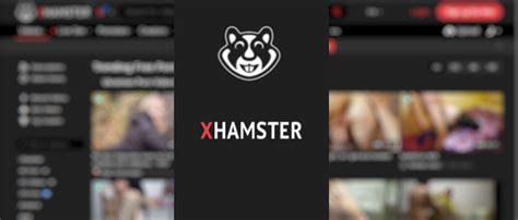 xhamste r|Best Porn Channels: Sex Video Producers & Creators